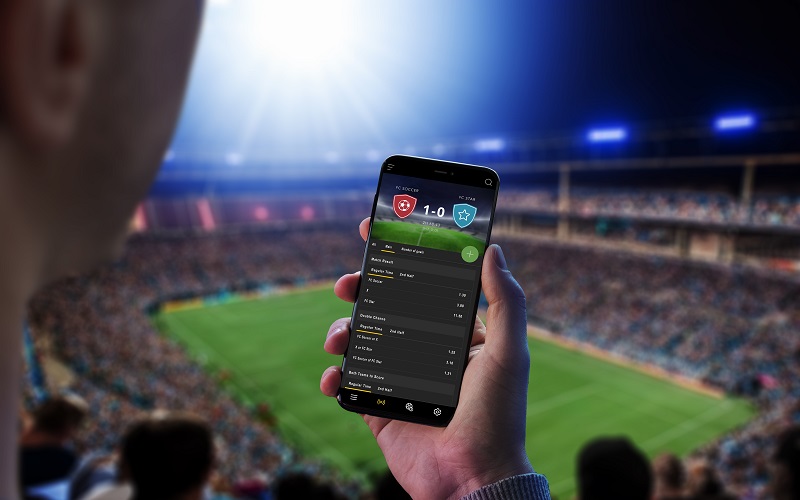 sai-lam-khi-choi-ca-cuoc-online-1